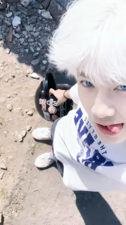 Ai albino