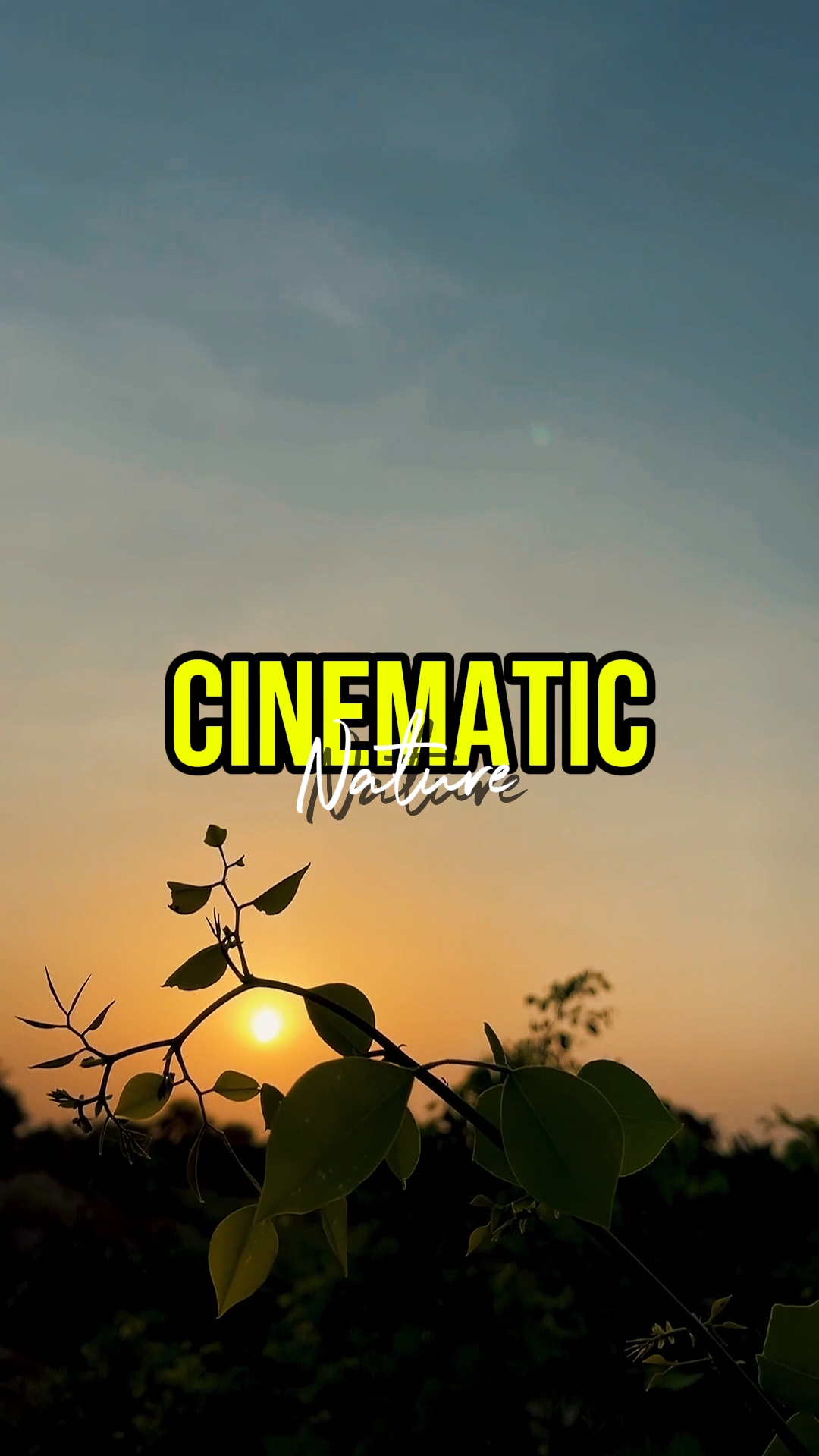 CINEMATIC NATURE