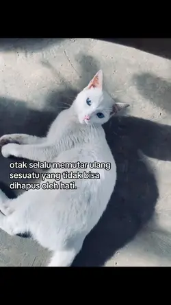 ntah kenapa haha