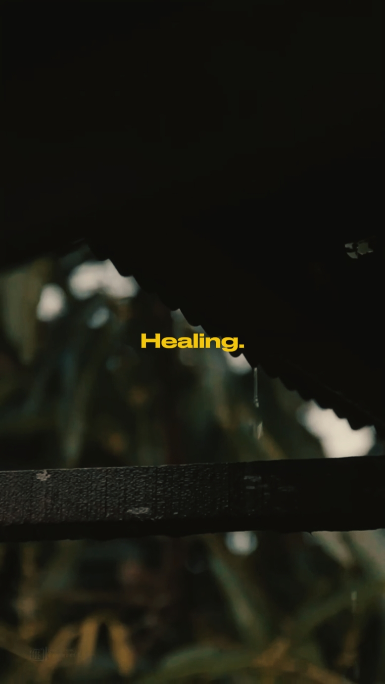 Vlog Healing 