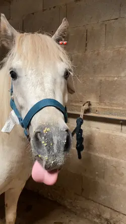 On va re réussir 💪