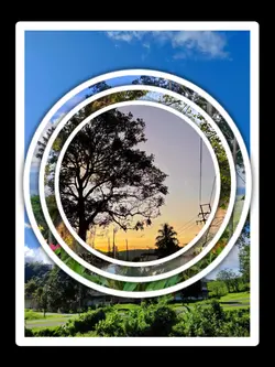 4Pic Trend Aesthetic