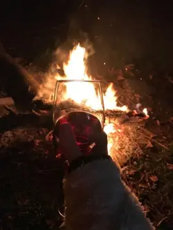 🍺🍻