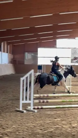 Horse jumping 