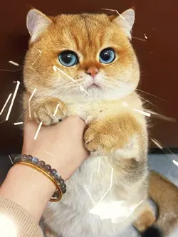 Glass Crack Beatsync