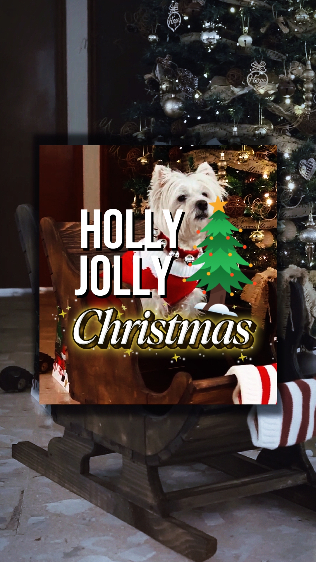 Navidad de Hollyjolly
