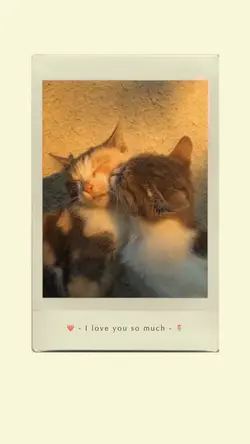 เพราะมีเธอ…❤️🌷