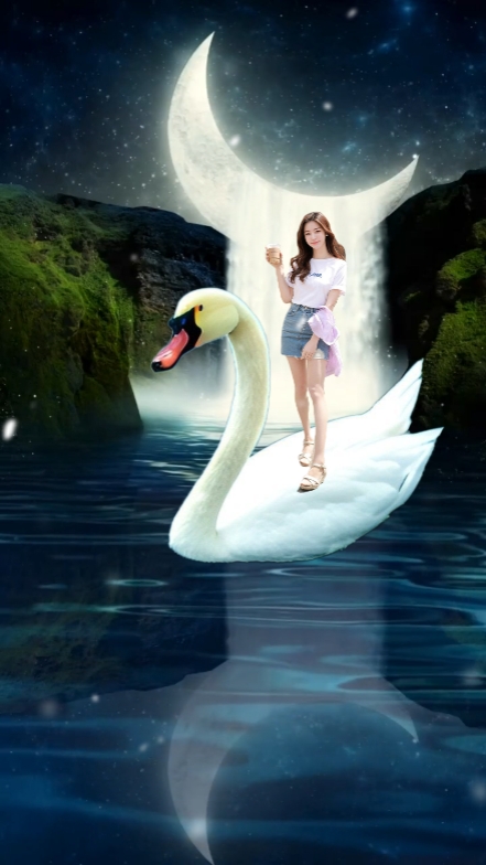 canard