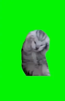 green screen 