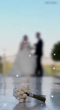 وانسا الدنيا واعشلك 