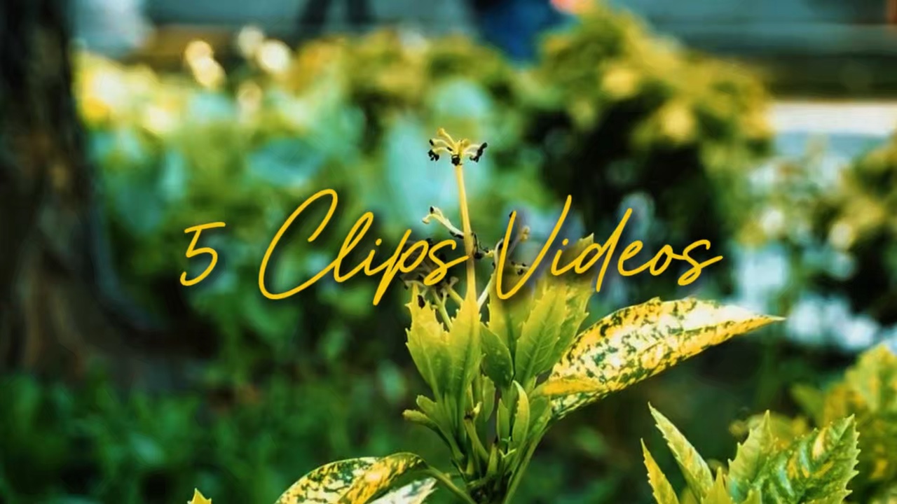 5 Clips Videos 