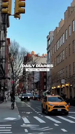Daily Diaries vlog