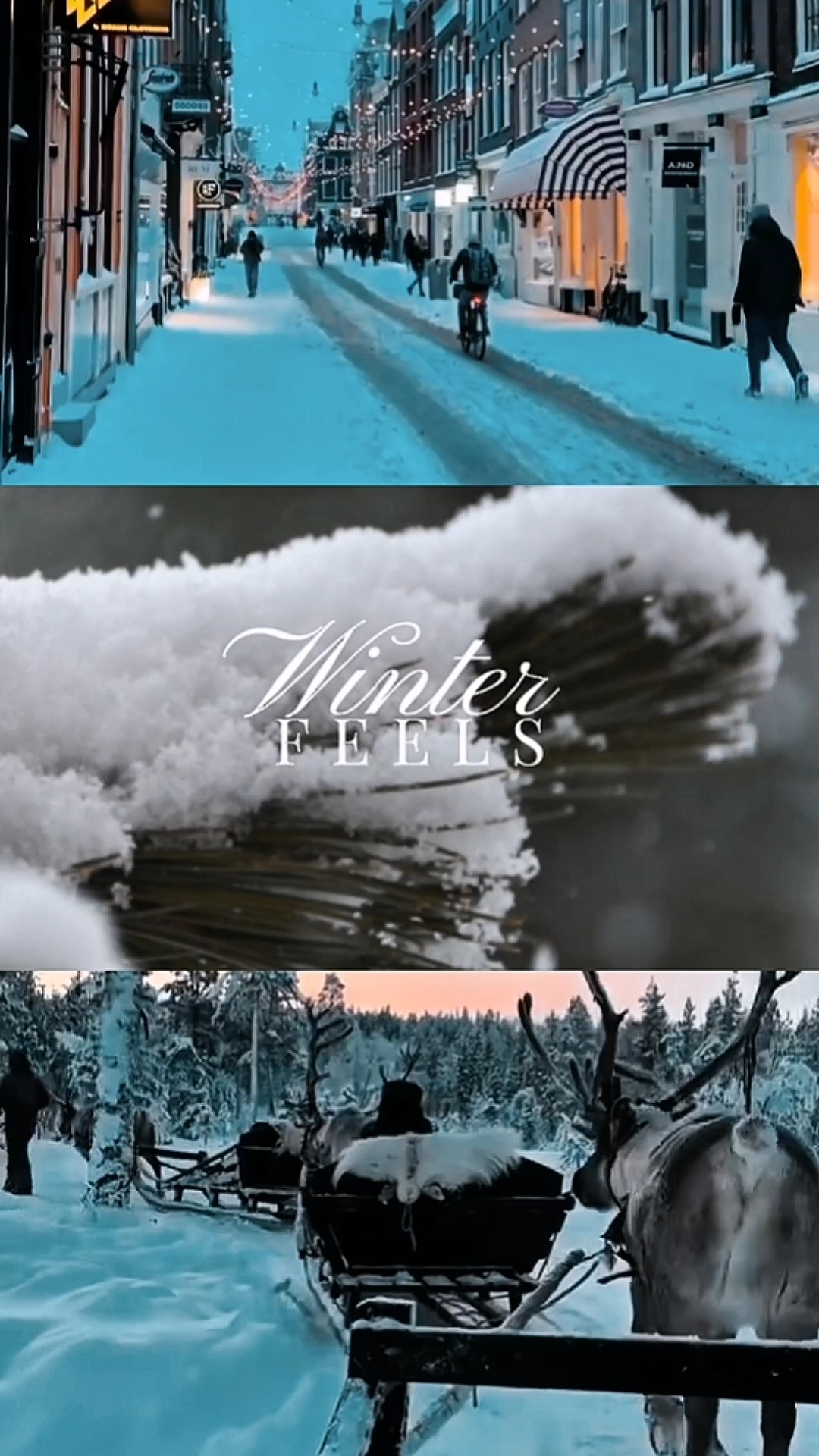 SENTIMENTOS DE INVERNO