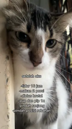 Malah tidur