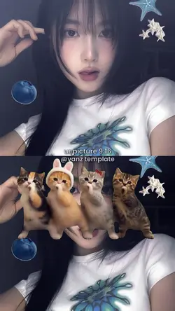 JJ STIKER KUCING JGT