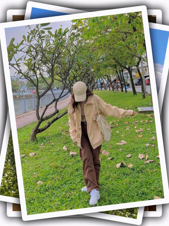 6Pic Clip Transition