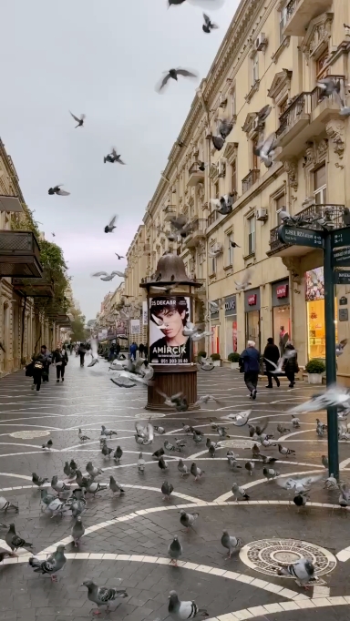 1 video 4 photo