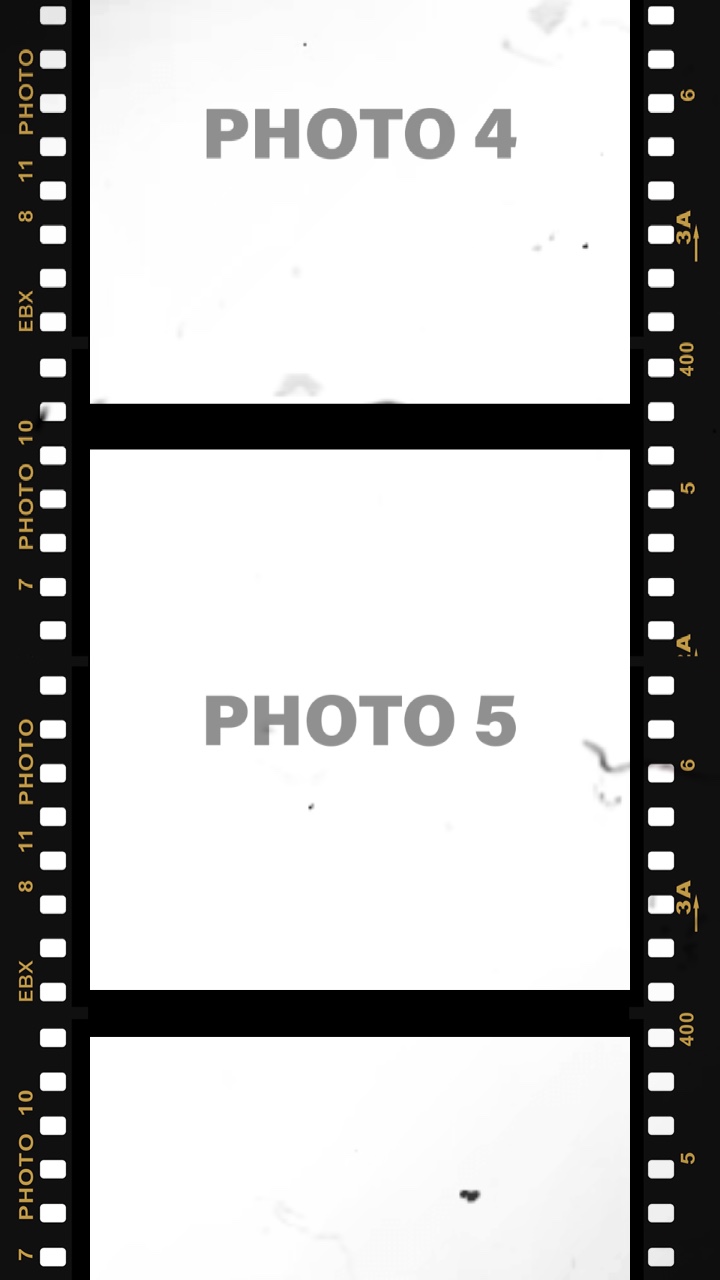 Cinema Roll 