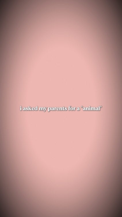 J'ai demandé à mes parents 