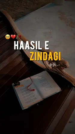 Hasil E Zindagi❤️‍🩹
