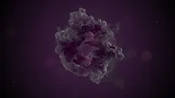 smoke ring