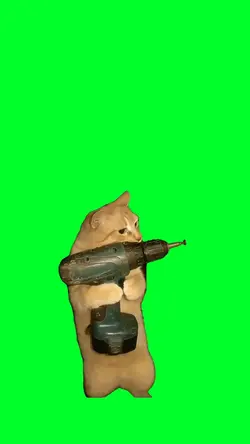 Cat with a dril