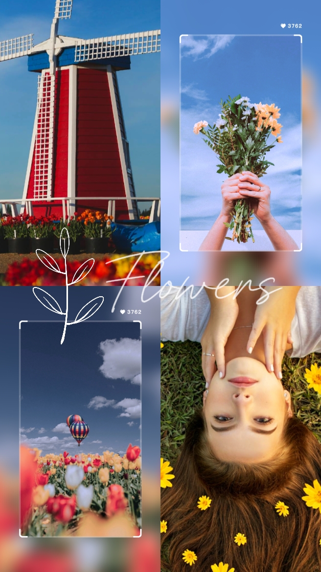 Cover Picture
