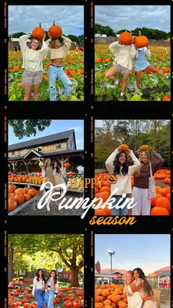 Pumpkin With Friends