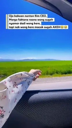 ceo nyasar