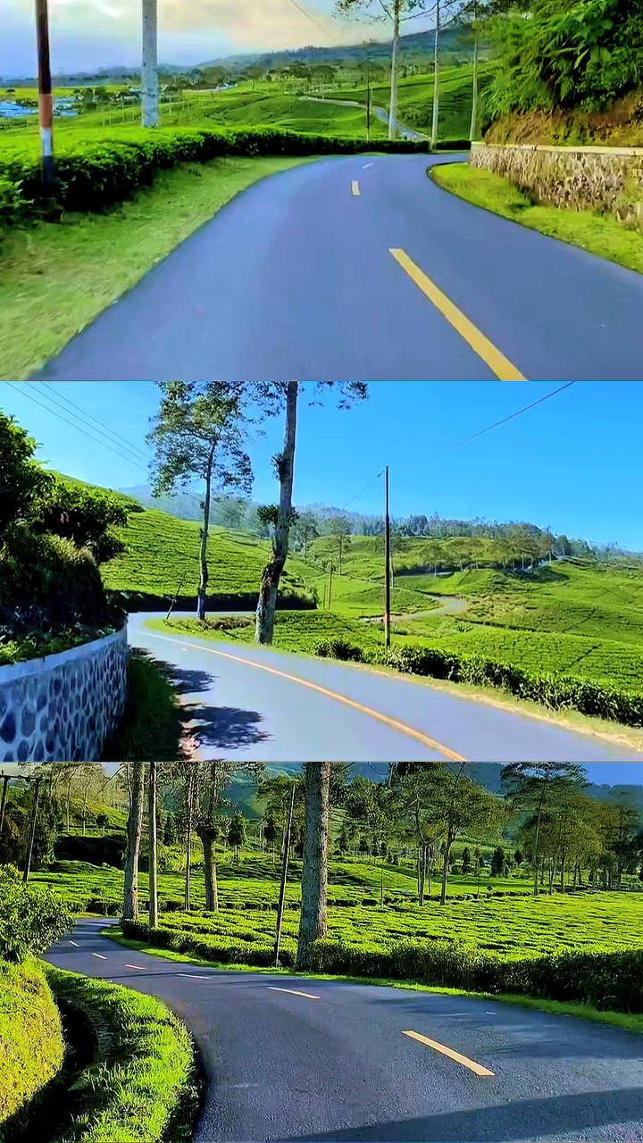 3 vidéos HD
