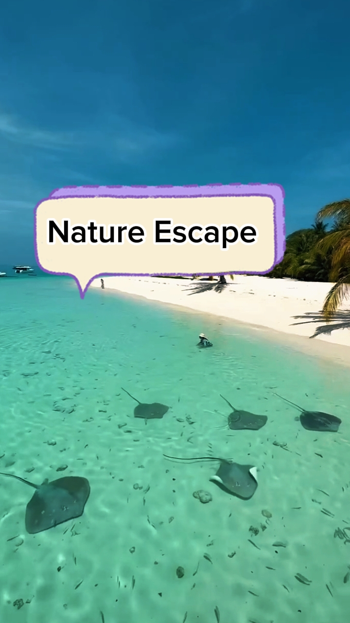 Meme Nature Escape - video template by CapCut