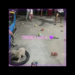 TREND DIVA 💜