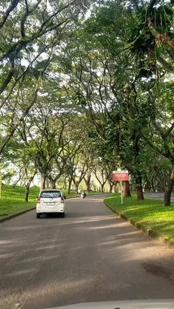 elegi esok pagi