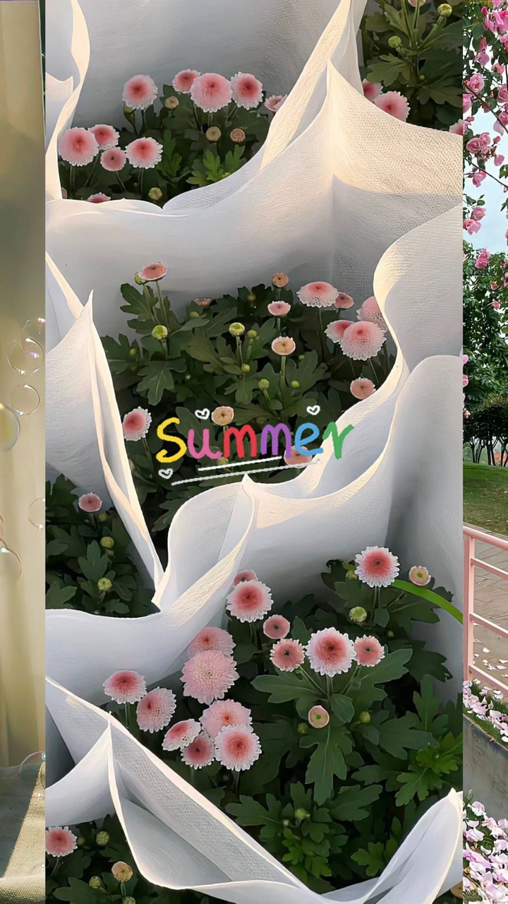 Fotos de verano
