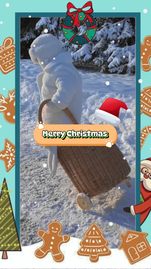 188 chritmas vlog