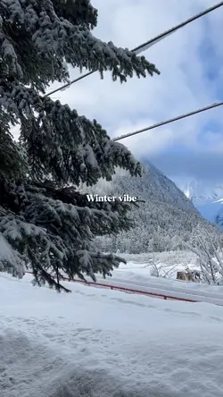 Winter vibe 