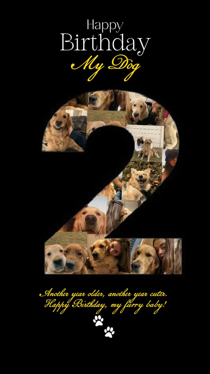 CUMPLEAÑOS mi perro 