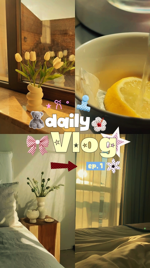 Vlog diário
