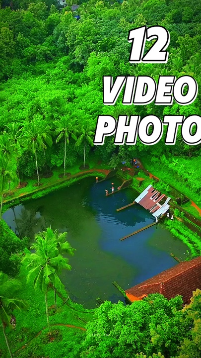 12 clip or photo 