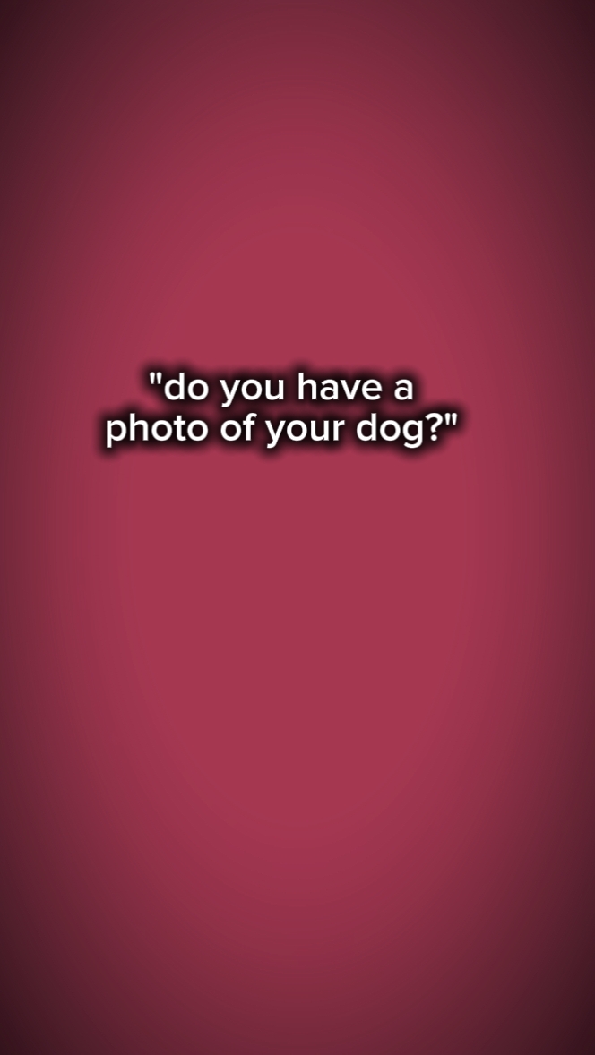 Tu foto de perro