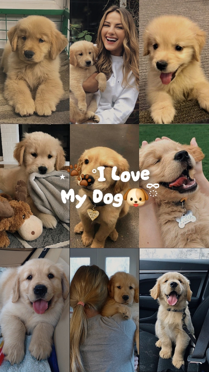 Amo A Mi Perro Recorte