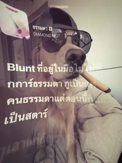 เพลงธรรดา