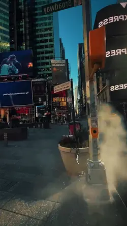 5 video clips