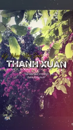 Voice Hàn 