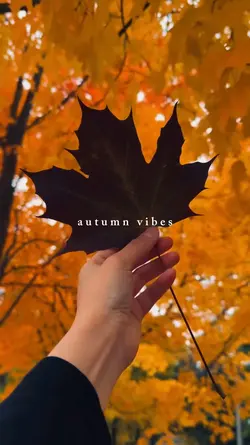 autumn vibes.