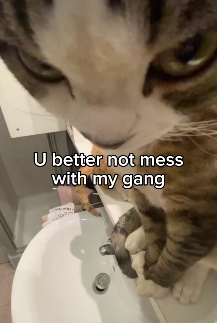 Trending good edit