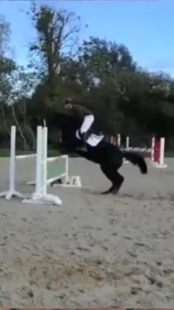 Slowmo