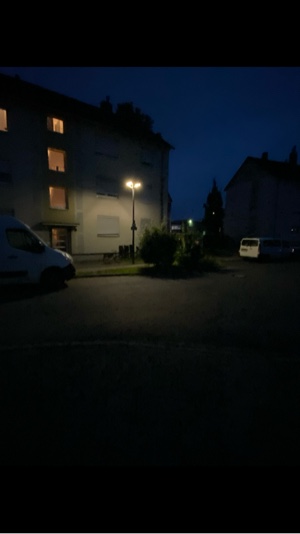 Nie wieder T