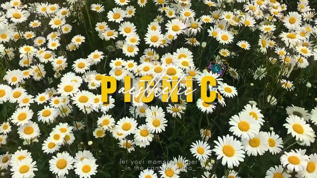 피크닉 브이로그