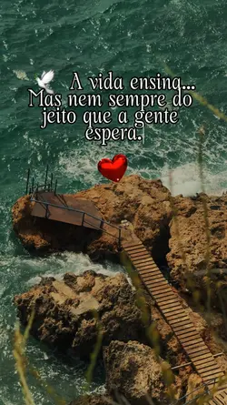 lições da vida